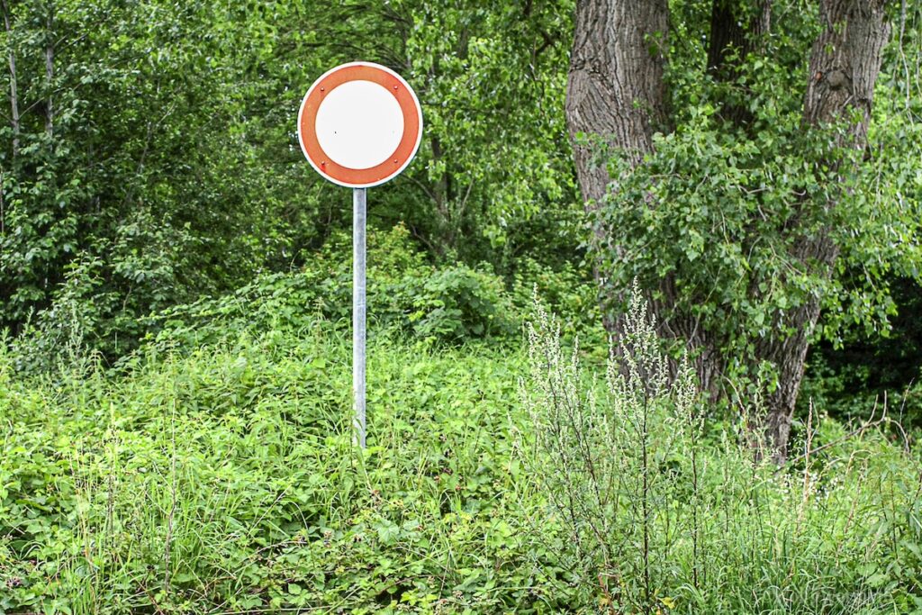 Kurioses Bild Vorschau