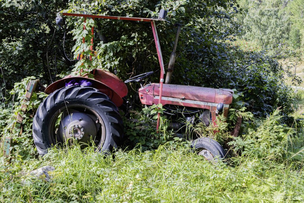 Alter Traktor sehr zugewachsen