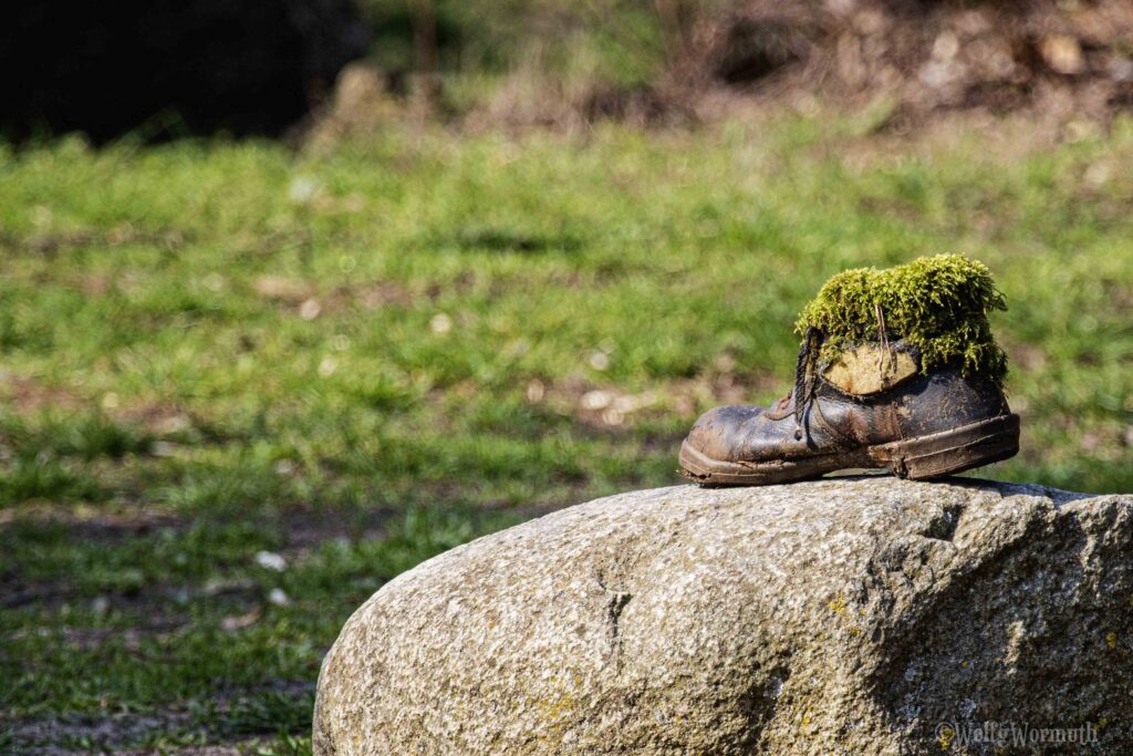 Schuh auf Stein mit Moos bewachsen.