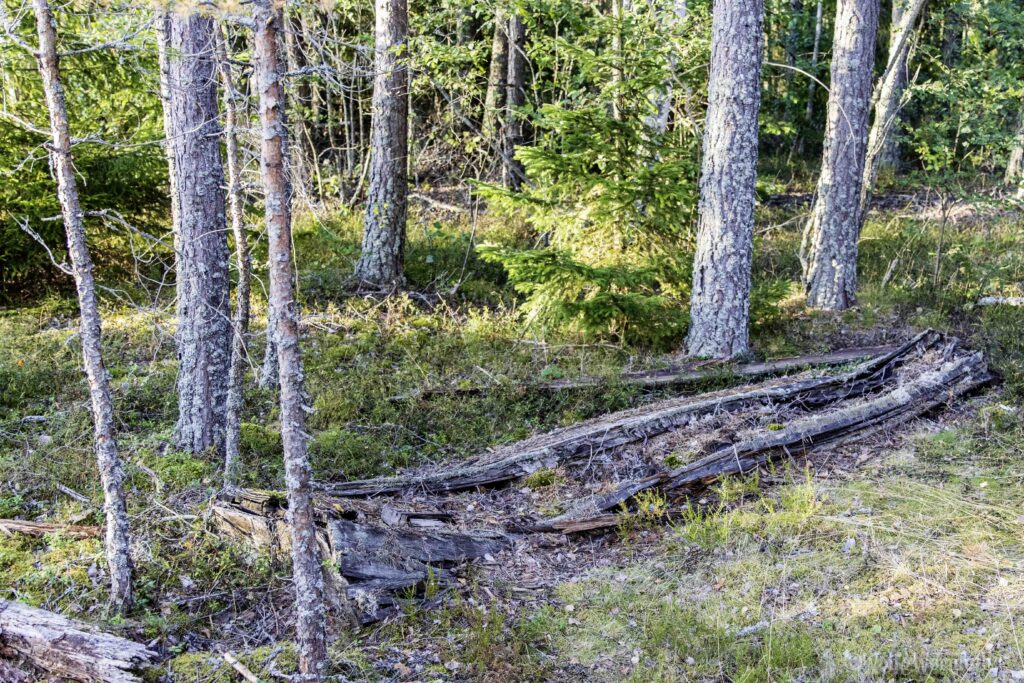 Boot umgedreht an Land verwittert.