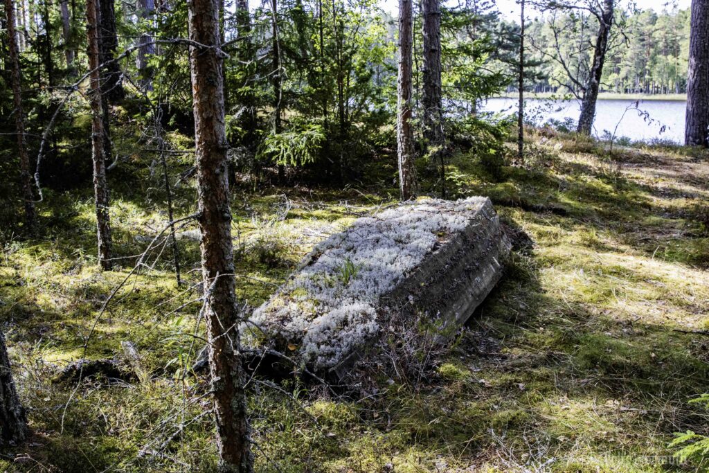 Boot umgedreht an Land verwittert.