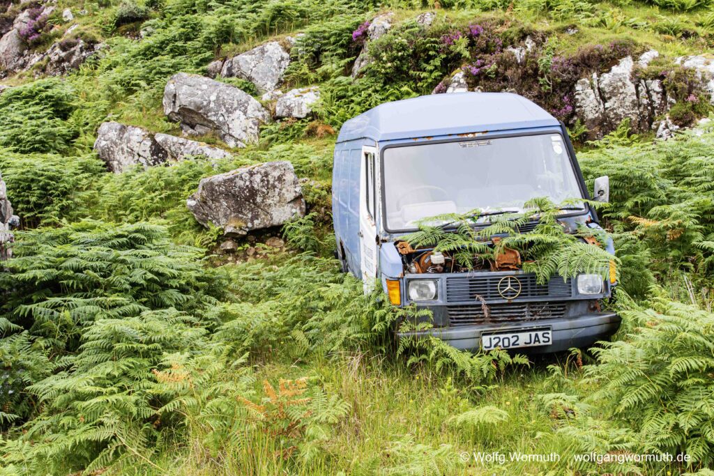 Ein Auto, Lieferwagen der abgestellt wurde und nun mit Farne zuwächst.