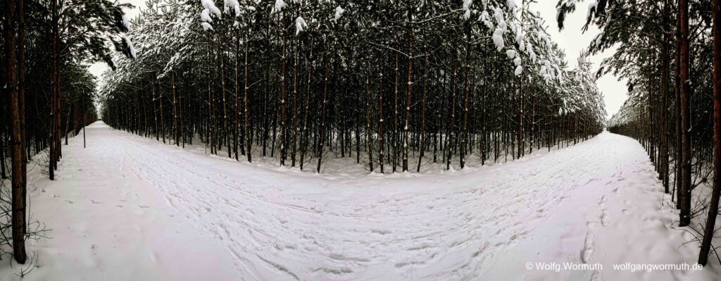 Verschneiter Radweg im Wald zwischen Hennigsdorf und Berlin. Panoramabild 180°.