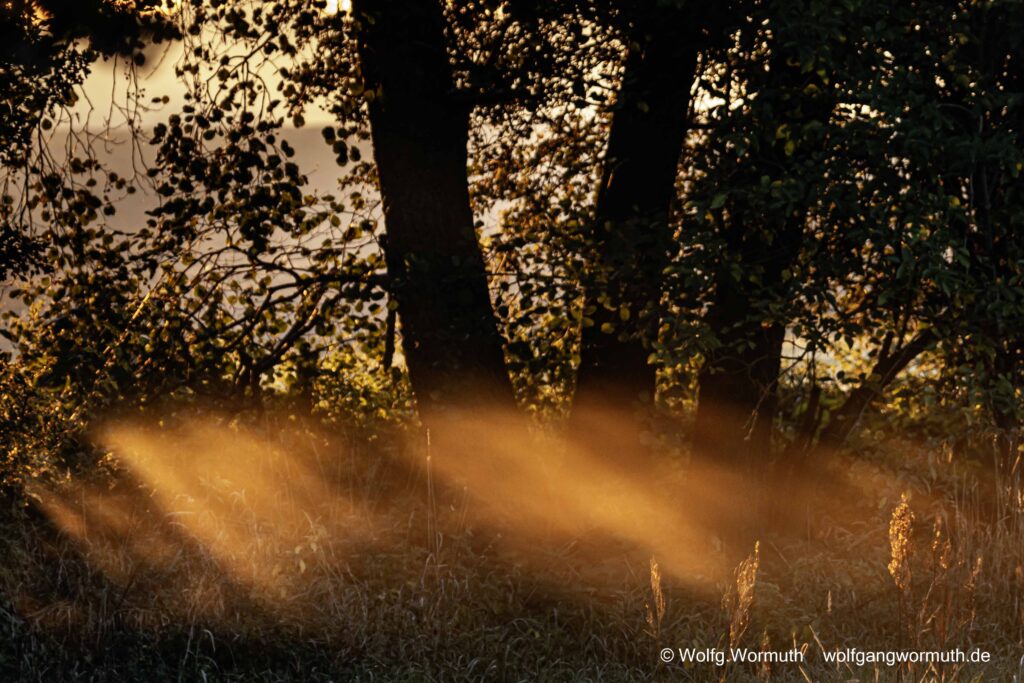 Sonnenaufgang mit Nebelstreifen im Vordergrund. Gatow Berlin.